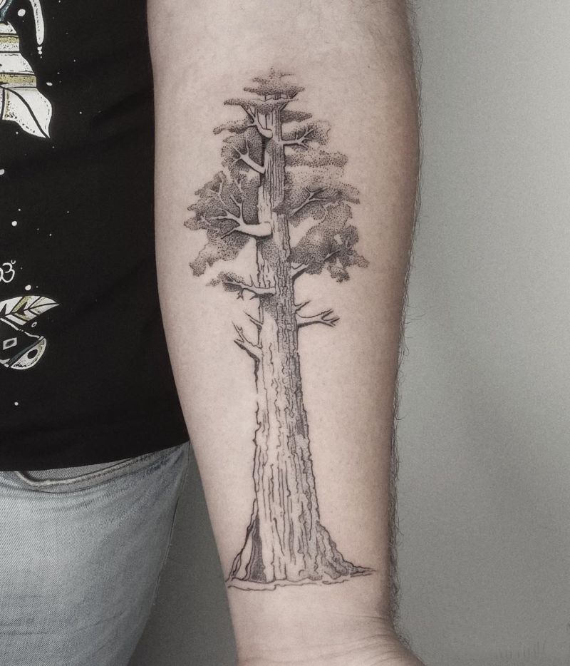 30 Great Sequoia Tree Tattoos to Inspire You