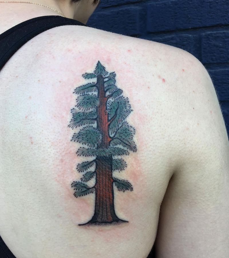 30 Great Sequoia Tree Tattoos to Inspire You