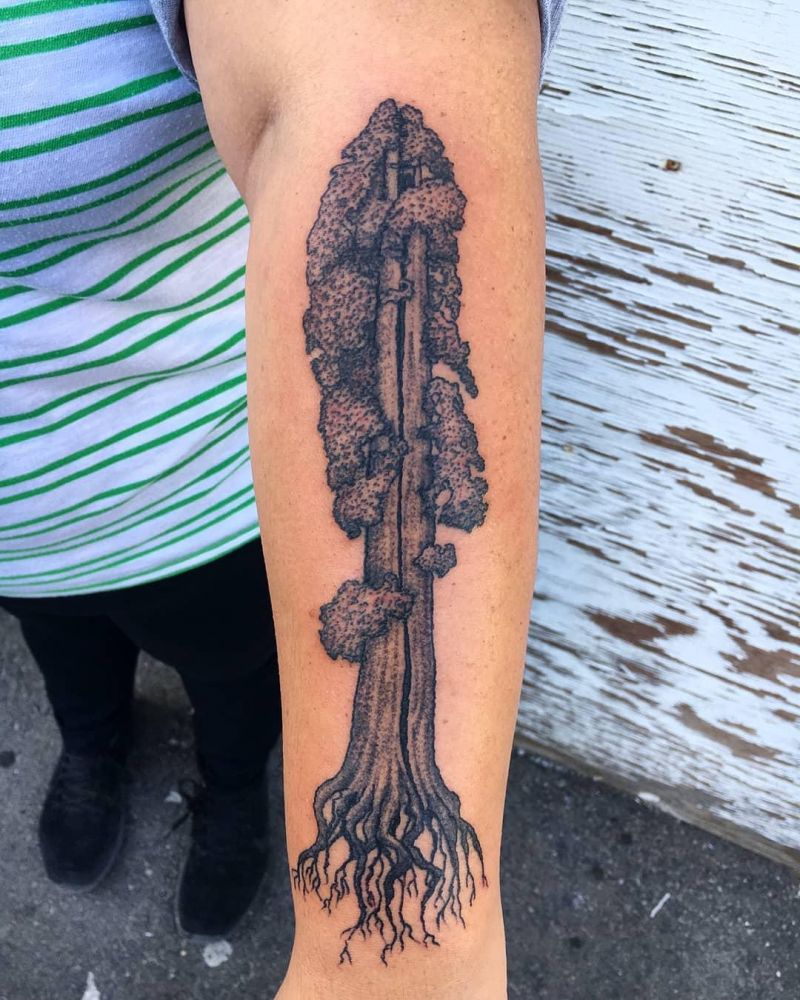 30 Great Sequoia Tree Tattoos to Inspire You