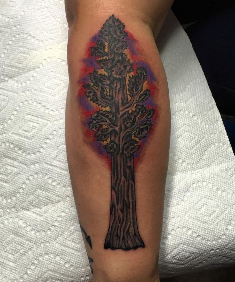 30 Great Sequoia Tree Tattoos to Inspire You