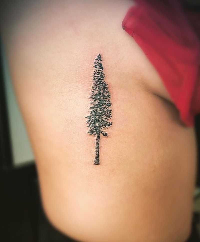 30 Great Sequoia Tree Tattoos to Inspire You