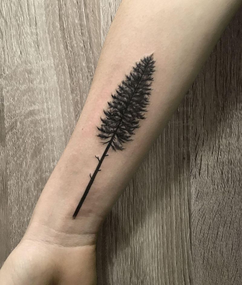 30 Great Sequoia Tree Tattoos to Inspire You