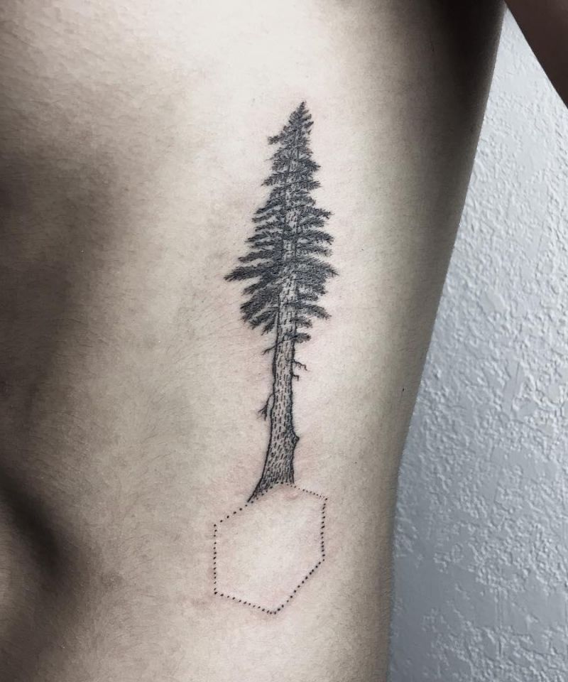 30 Great Sequoia Tree Tattoos to Inspire You