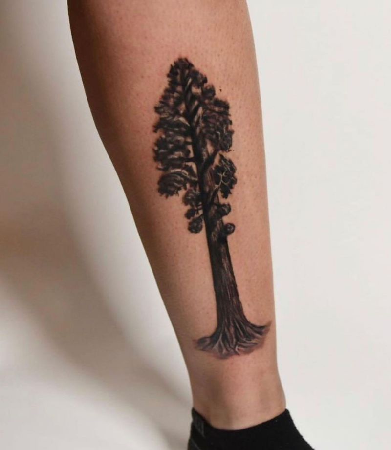 30 Great Sequoia Tree Tattoos to Inspire You