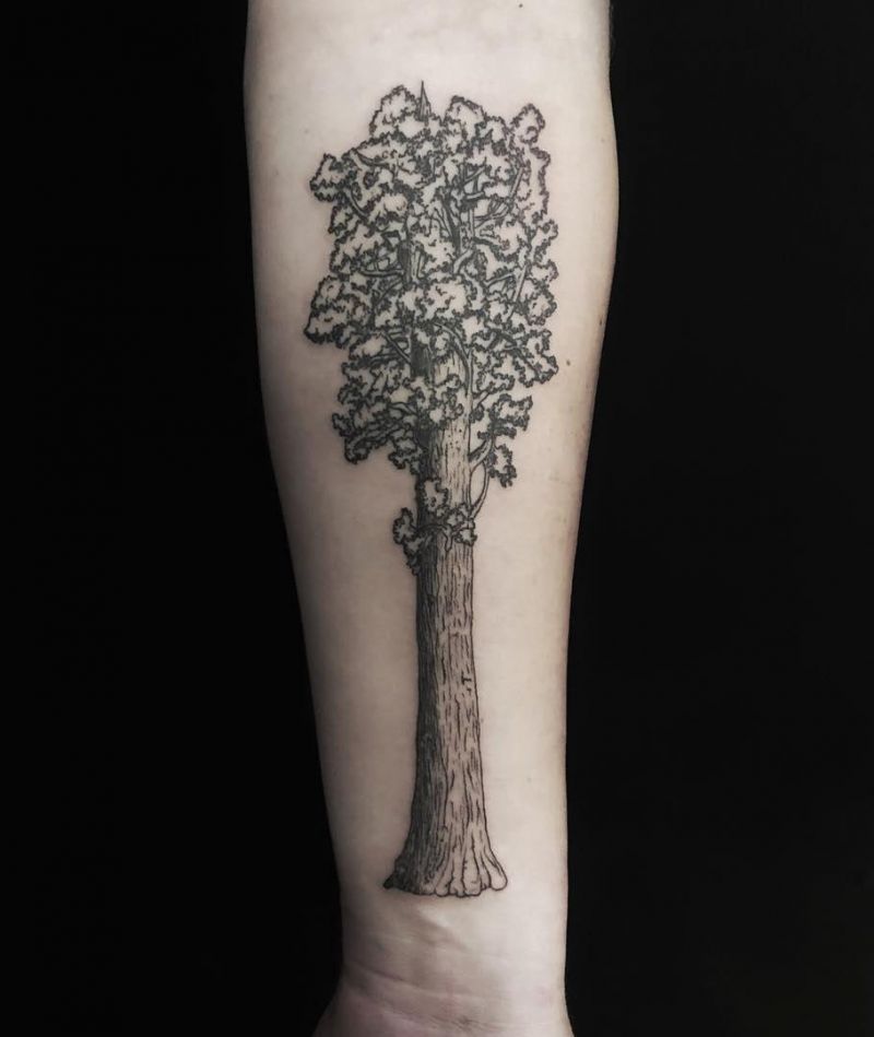 30 Great Sequoia Tree Tattoos to Inspire You