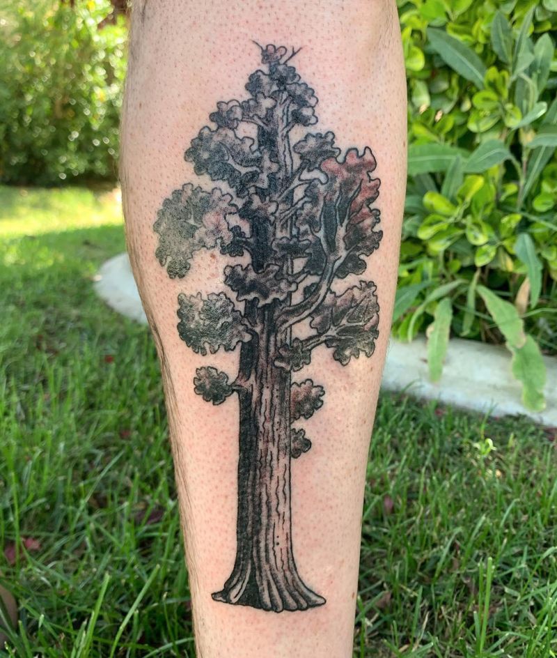 30 Great Sequoia Tree Tattoos to Inspire You