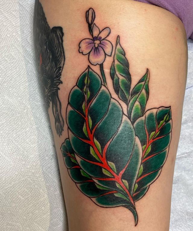 Prayer Plant Tattoo on Arm