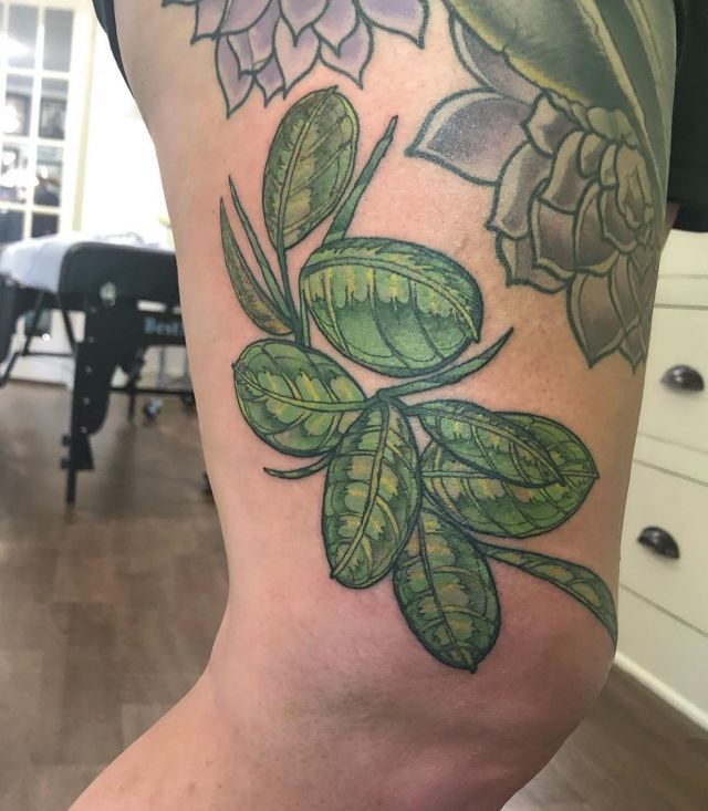 Green Prayer Plant Tattoo on Leg