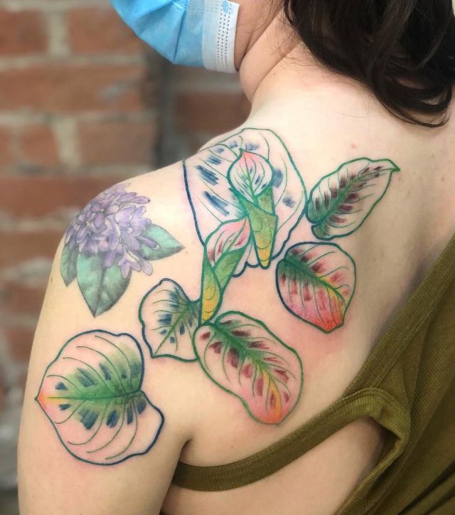 Colorful Prayer Plant Tattoo on Shoulder
