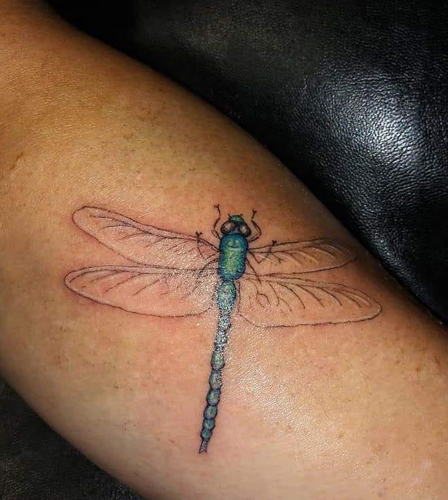 6 Elegant Blue Dragonfly Tattoos You Can Copy