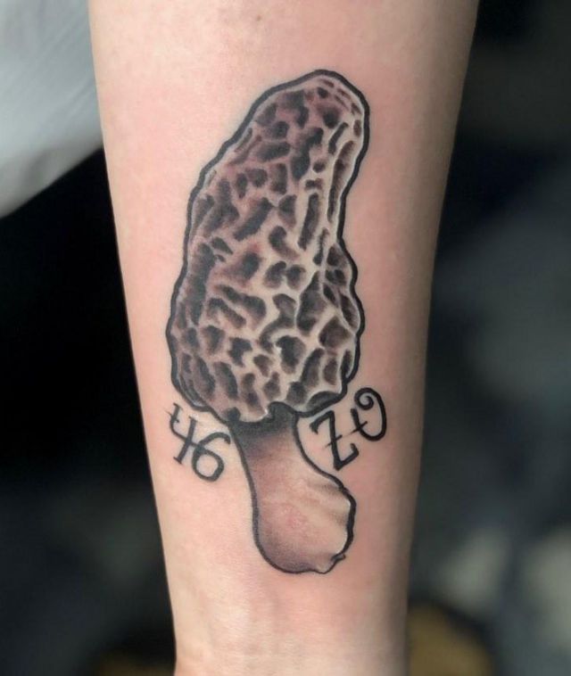 Morel Mushroom Tattoo on Arm