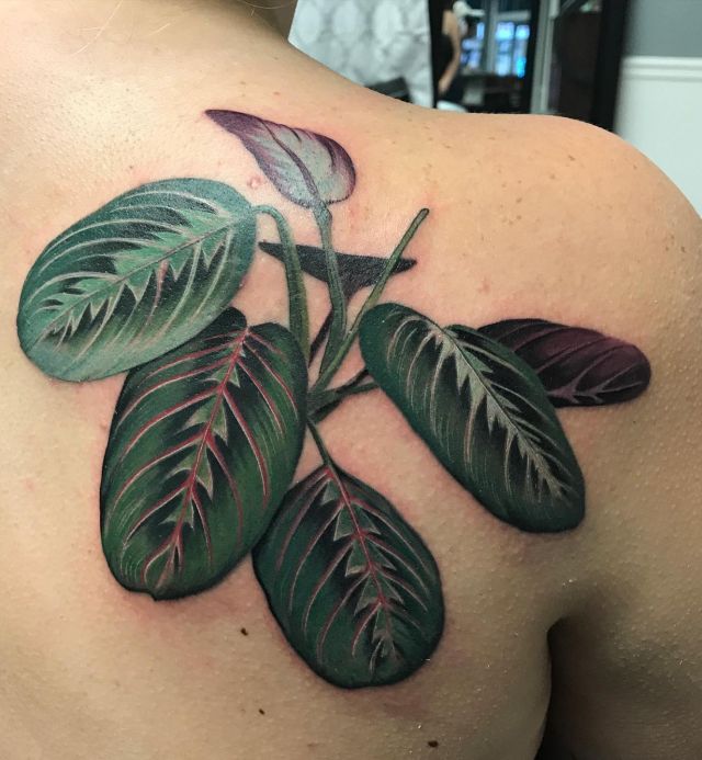 Elegant Prayer Plant Tattoo on Shoulder