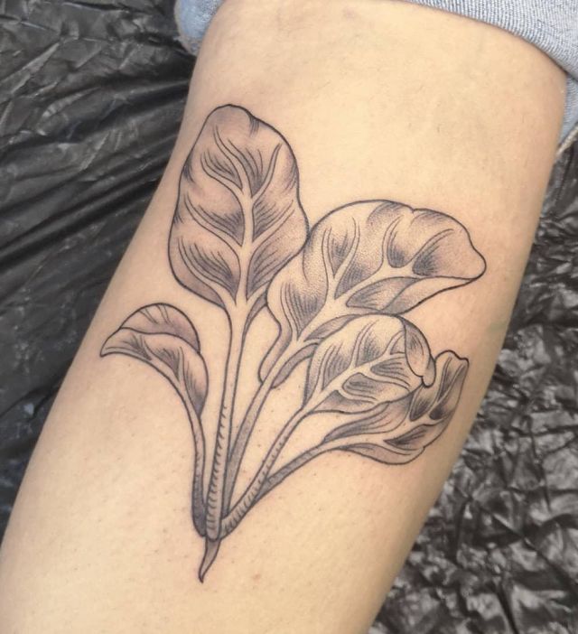 Sketch Spinach Tattoo on Arm
