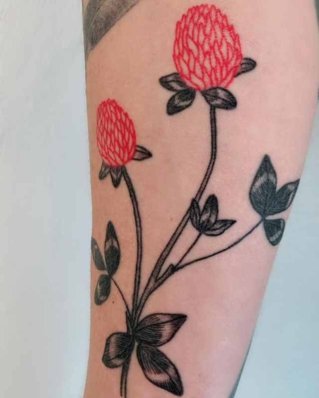 Red Clover Tattoo on Leg