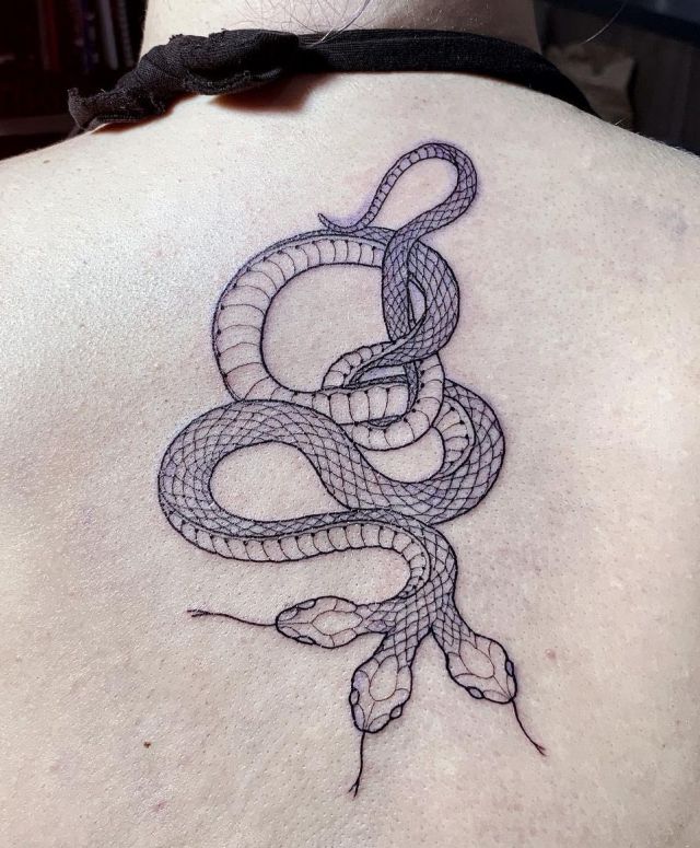 Black and White 3 Headed Snake Tattoo on Back