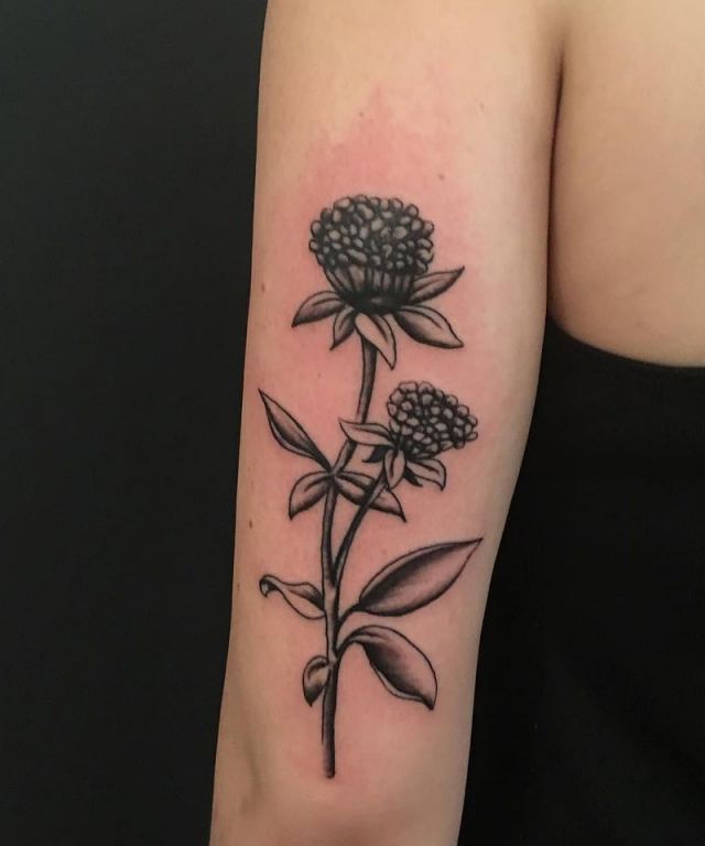 Black Red Clover Tattoo on Arm