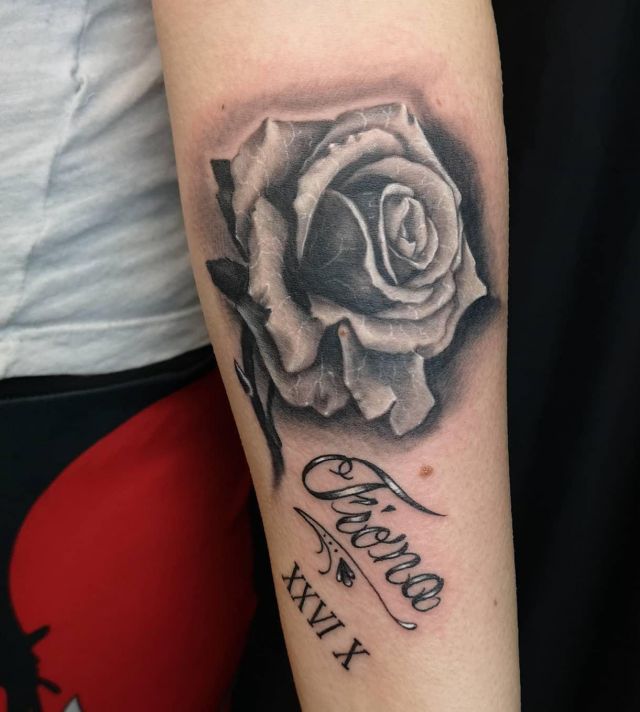 Excellent White Rose Tattoo on Forearm