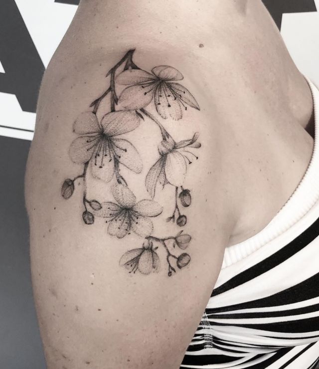 Cherry Blossoms Shoulder Cap Tattoo