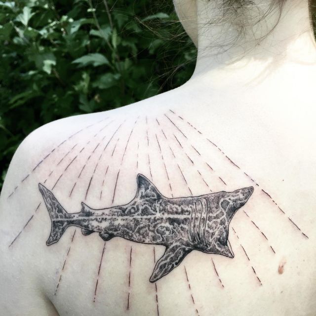 Unique Basking Shark Tattoo on Shoulder