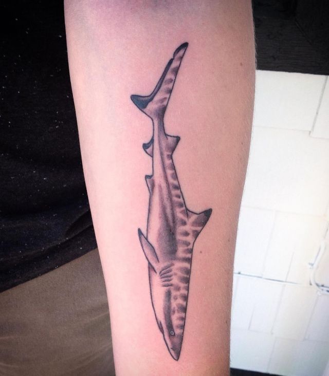 Elegant Reef Shark Tattoo on Forearm