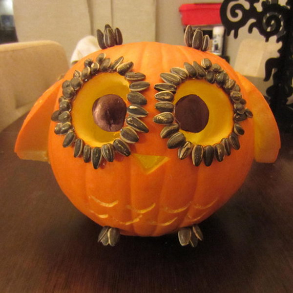 Little Owl Carved Pumpkin with Wings