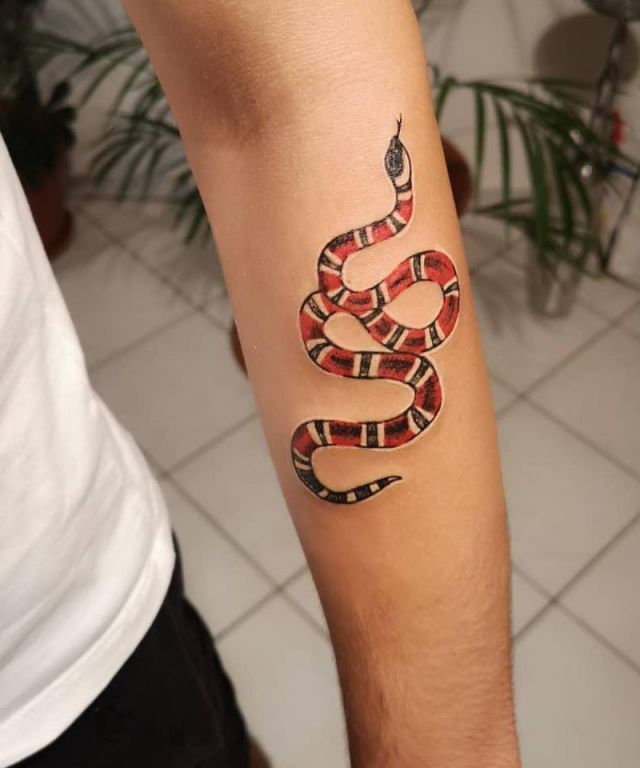 Pretty Gucci Snake Tattoo on Forearm