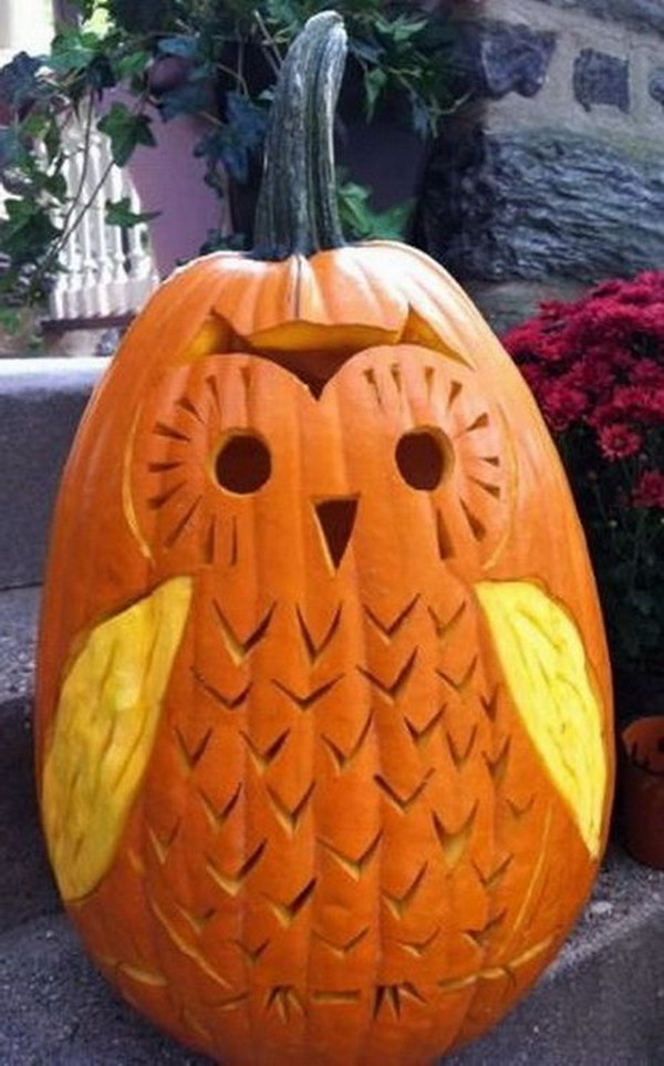Cute Owl Pumpkin Carving