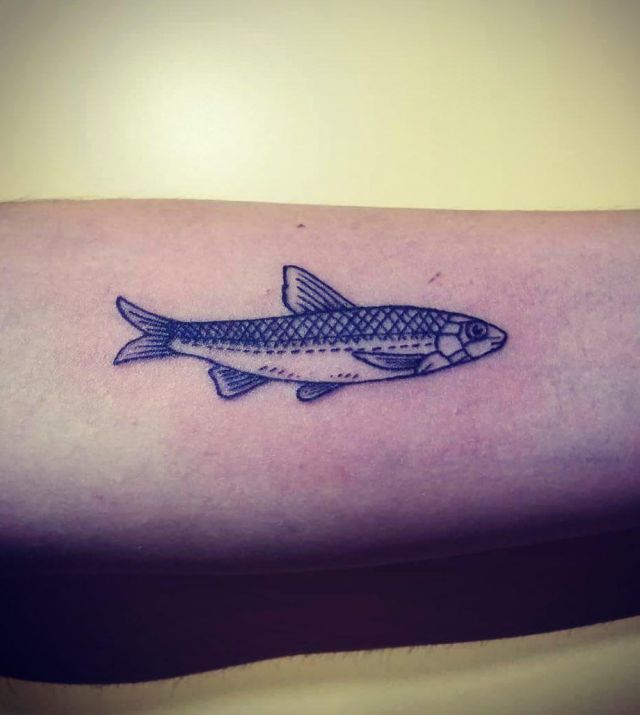 Small Anchovy Tattoo on Arm