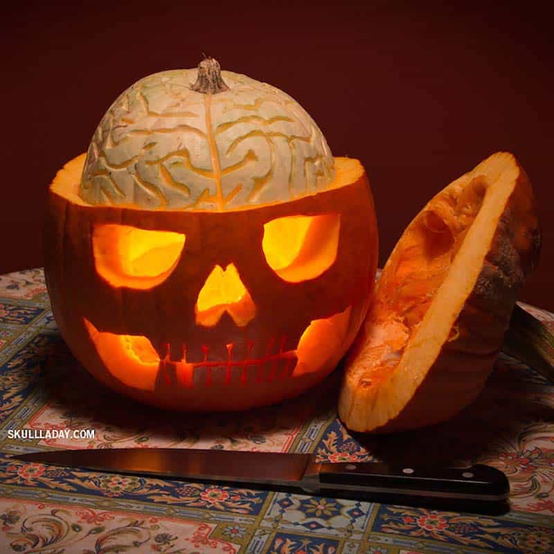 Pumpkin Skull With A Squash Brain