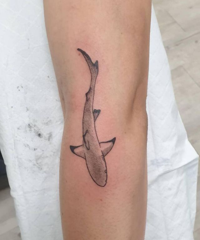 Cute Reef Shark Tattoo on Arm
