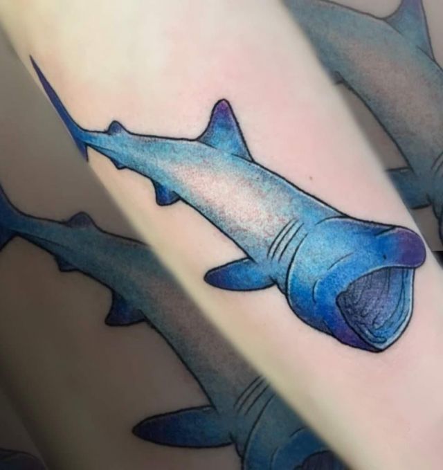 Blue Basking Shark Tattoo on Arm