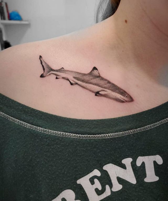 Elegant Reef Shark Tattoo on Clavicle