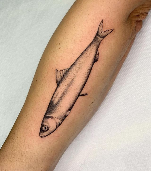 Elegant Anchovy Tattoo on Forearm