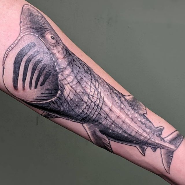 Amazing Basking Shark Tattoo on Arm