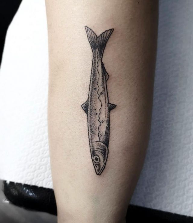 10 Cool Anchovy Tattoos You Can Copy Style VP