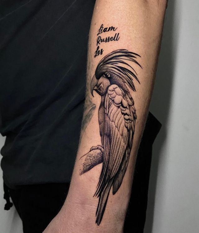 Black Cockatoo Tattoo on Forearm