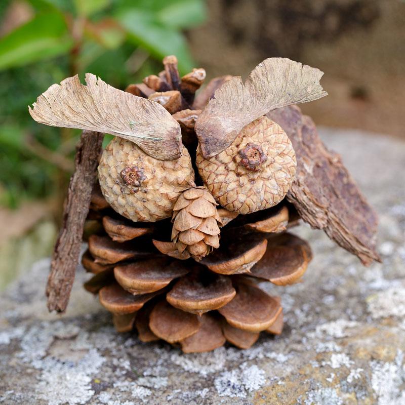 20 Cool DIY Pine Cone Crafts for Halloween